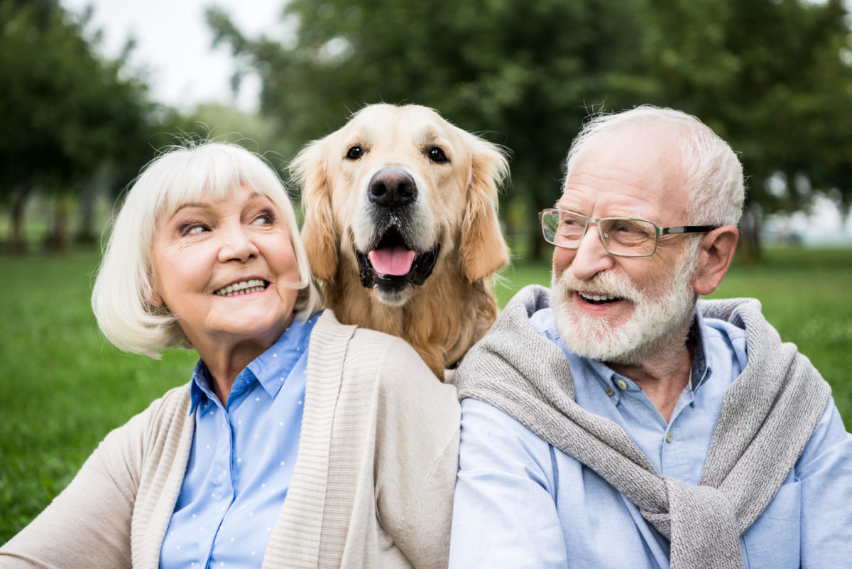 smiling capable senior couple looking at adorable dog while resting in park